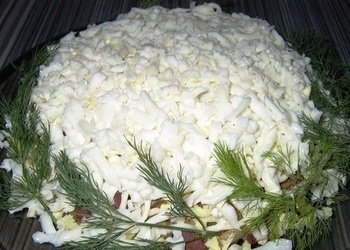 Salāti „Baltai gulbis”
