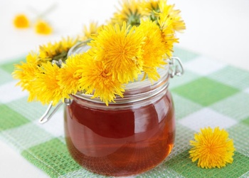 Izplatīta pieneņu medus recepte